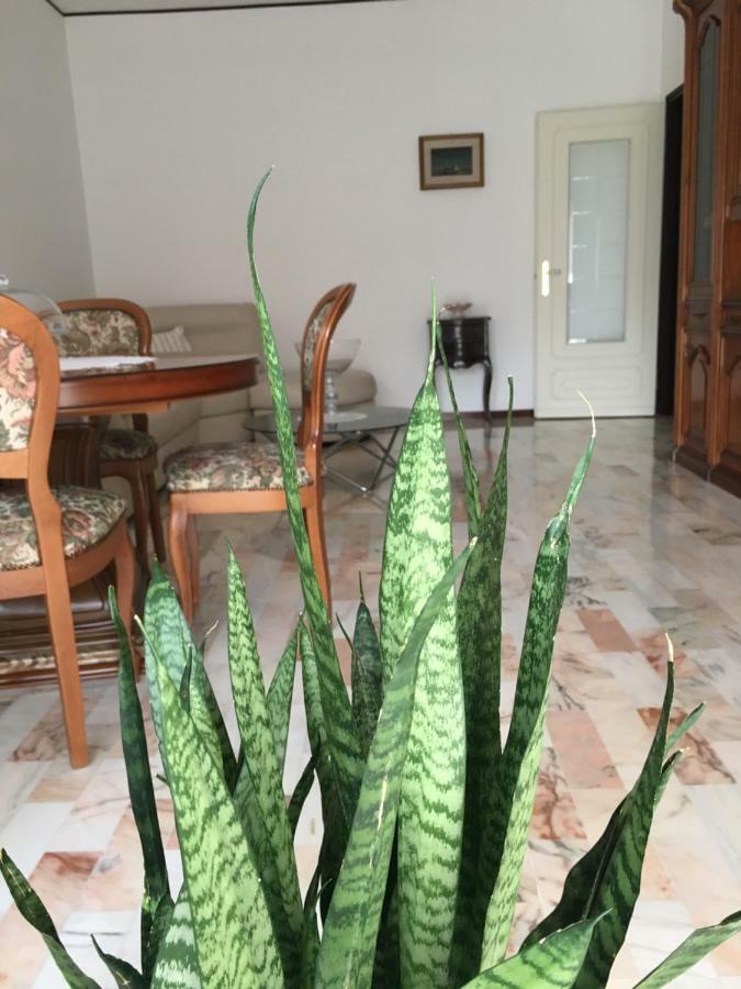 סורנטו Flower'S Home מראה חיצוני תמונה